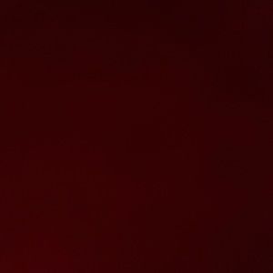 Meet your Posher, Yesica